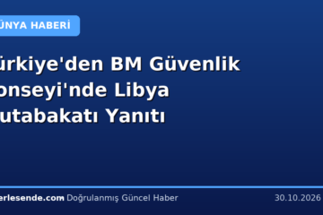 Türkiye'den BM Güvenlik Konseyi'nde Libya Mutabakatı Yanıtı