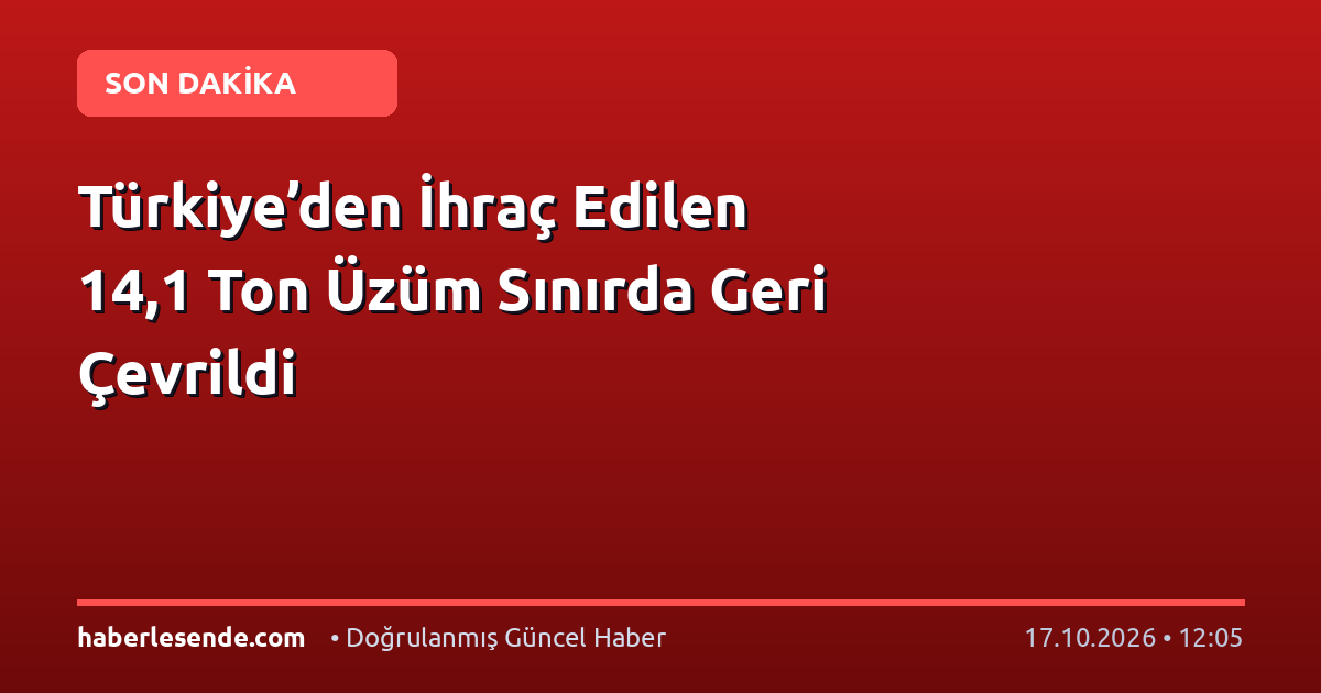 Türkiye’den İhraç Edilen 14,1 Ton Üzüm Sınırda Geri Çevrildi