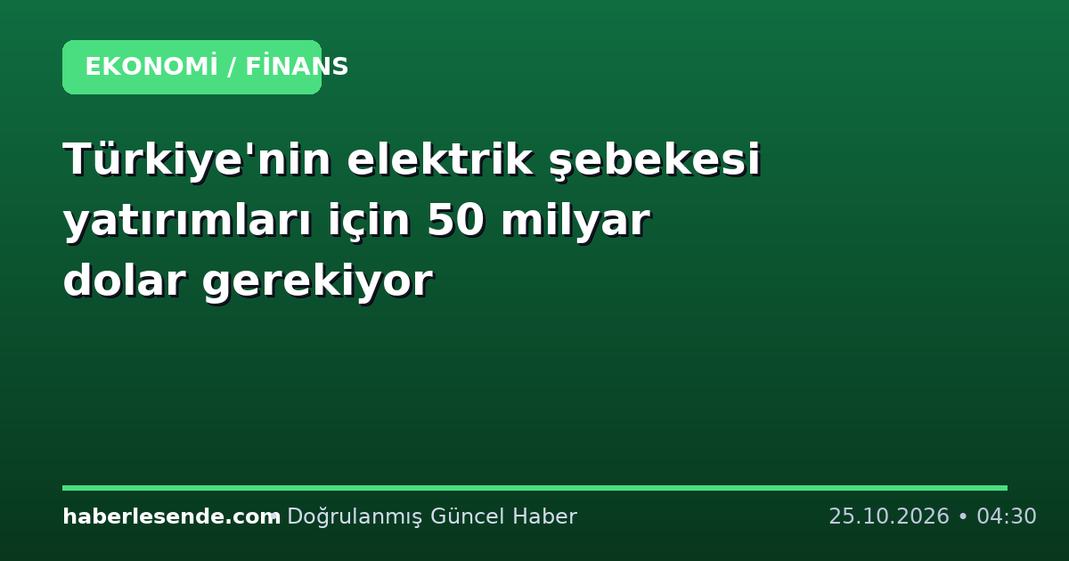 Türkiye'nin elektrik şebekesi yatırımları için 50 milyar dolar gerekiyor