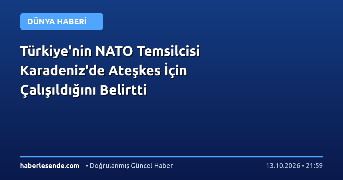Türkiye'nin NATO Temsilcisi Karadeniz'de Ateşkes İçin Çalışıldığını Belirtti