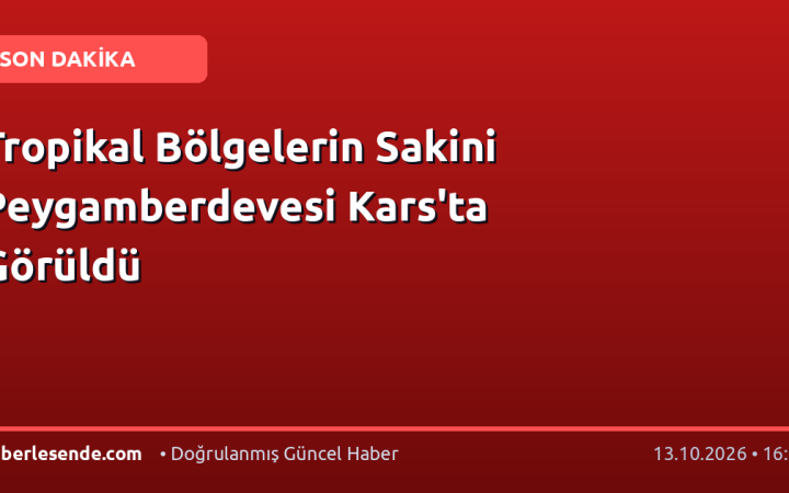 Tropikal Bölgelerin Sakini Peygamberdevesi Kars'ta Görüldü