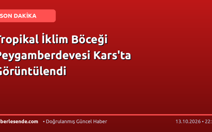 Tropikal İklim Böceği Peygamberdevesi Kars'ta Görüntülendi