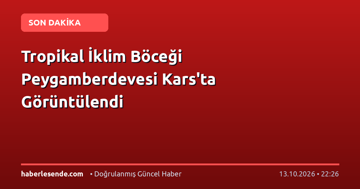 Tropikal İklim Böceği Peygamberdevesi Kars'ta Görüntülendi