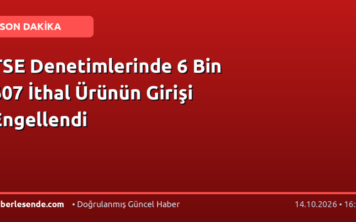 TSE Denetimlerinde 6 Bin 607 İthal Ürünün Girişi Engellendi