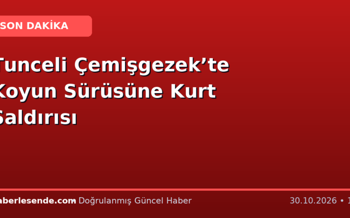 Tunceli Çemişgezek’te Koyun Sürüsüne Kurt Saldırısı