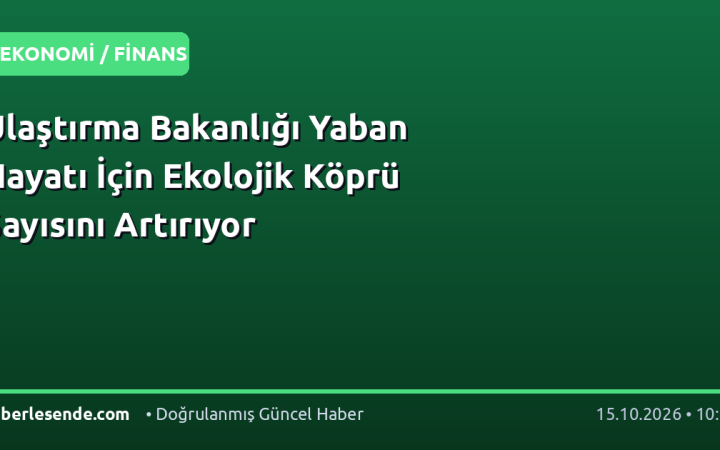 Ulaştırma Bakanlığı Yaban Hayatı İçin Ekolojik Köprü Sayısını Artırıyor