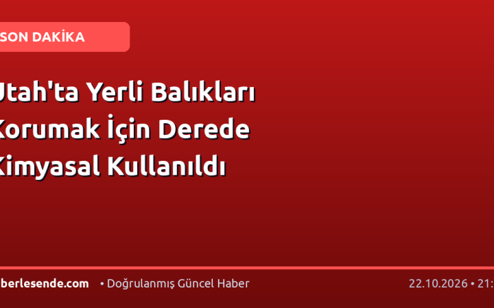 Utah'ta Yerli Balıkları Korumak İçin Derede Kimyasal Kullanıldı