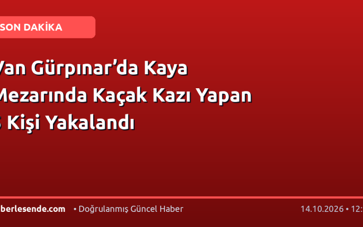 Van Gürpınar’da Kaya Mezarında Kaçak Kazı Yapan 5 Kişi Yakalandı