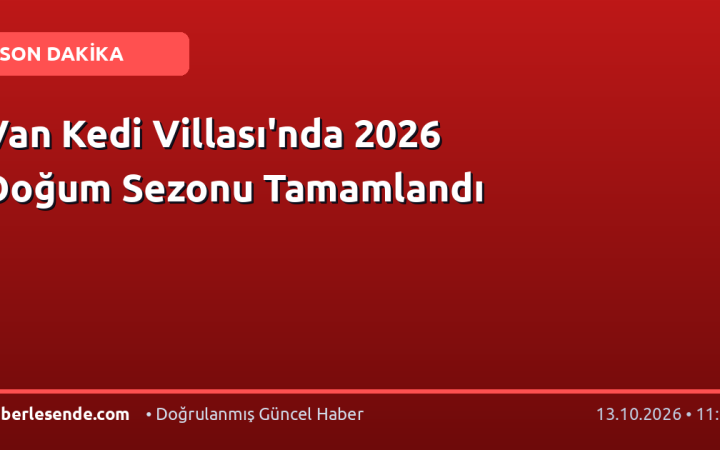 Van Kedi Villası'nda 2026 Doğum Sezonu Tamamlandı