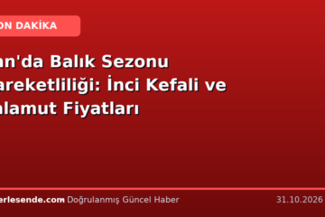 Van'da Balık Sezonu Hareketliliği: İnci Kefali ve Palamut Fiyatları