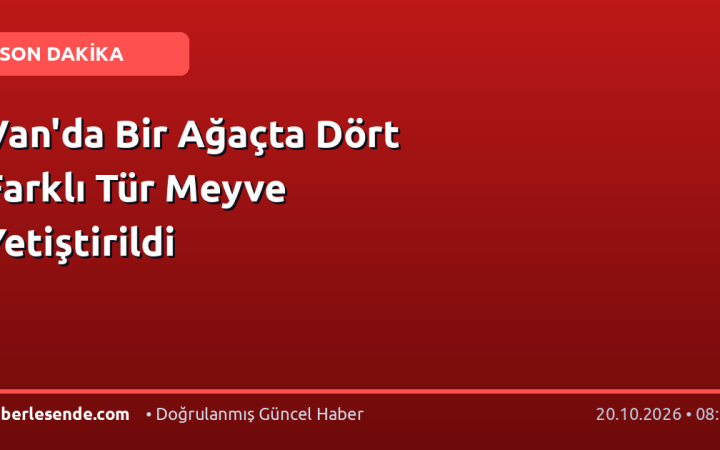 Van'da Bir Ağaçta Dört Farklı Tür Meyve Yetiştirildi