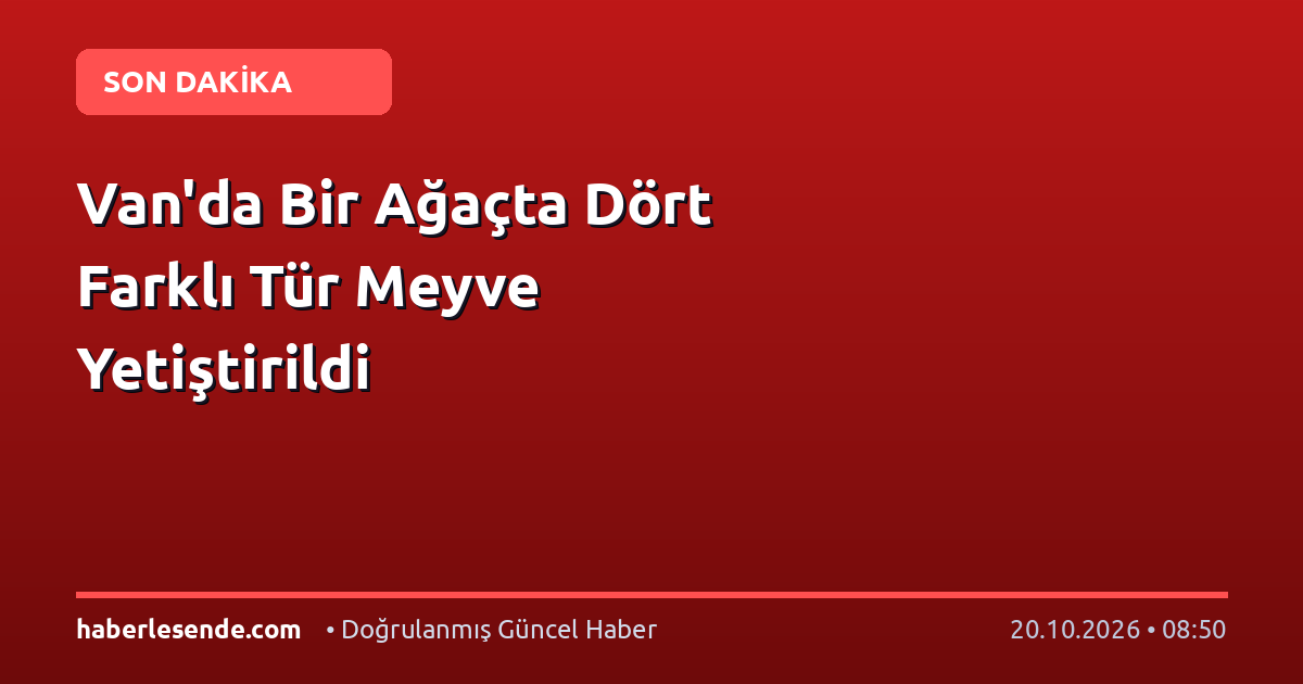 Van'da Bir Ağaçta Dört Farklı Tür Meyve Yetiştirildi