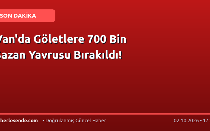 Van'da Göletlere 700 Bin Sazan Yavrusu Bırakıldı!