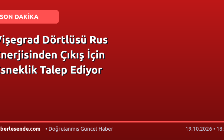 Vişegrad Dörtlüsü Rus Enerjisinden Çıkış İçin Esneklik Talep Ediyor