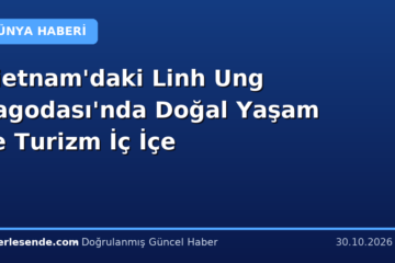 Vietnam'daki Linh Ung Pagodası'nda Doğal Yaşam ve Turizm İç İçe