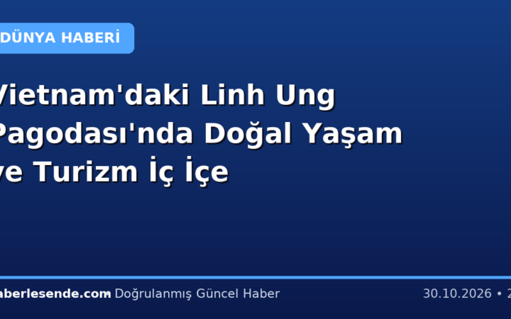 Vietnam'daki Linh Ung Pagodası'nda Doğal Yaşam ve Turizm İç İçe