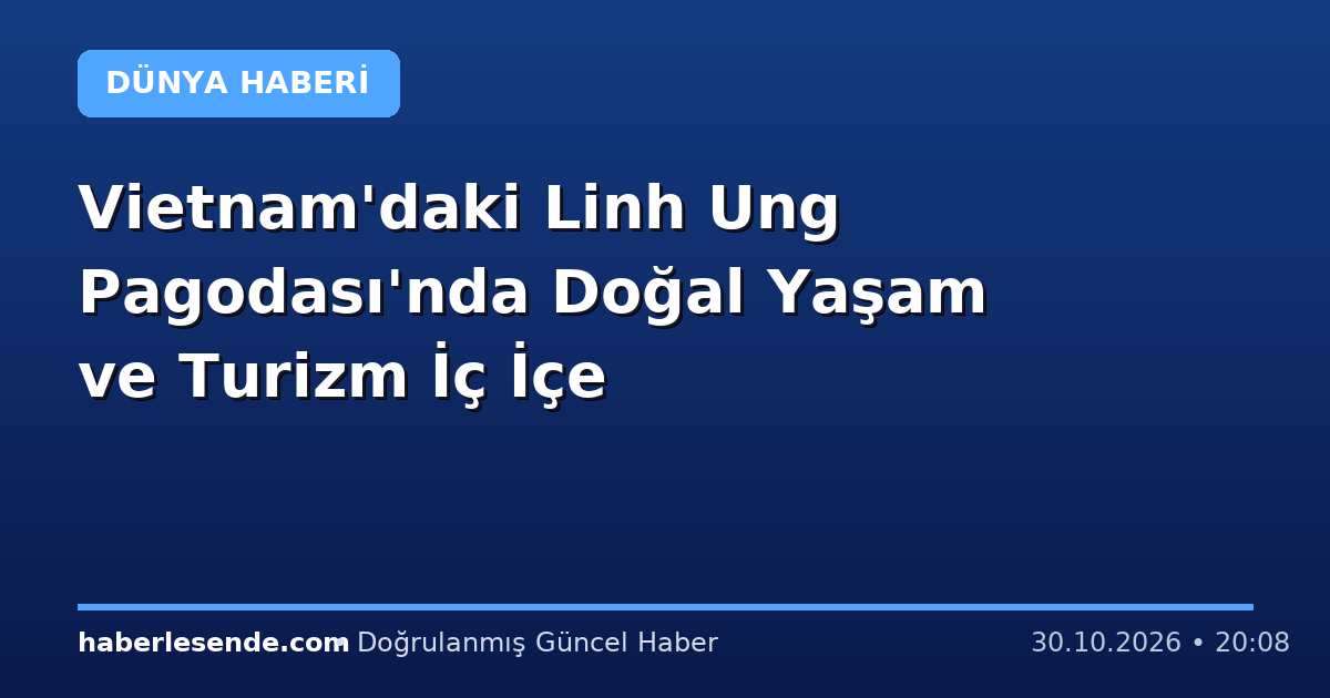 Vietnam'daki Linh Ung Pagodası'nda Doğal Yaşam ve Turizm İç İçe