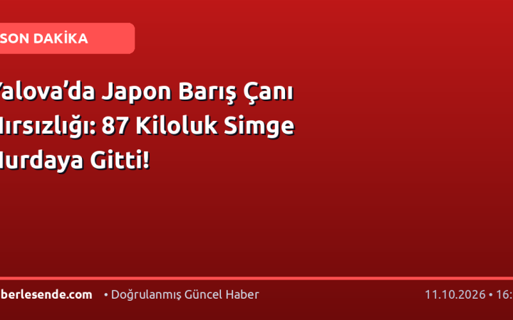 Yalova’da Japon Barış Çanı Hırsızlığı: 87 Kiloluk Simge Hurdaya Gitti!