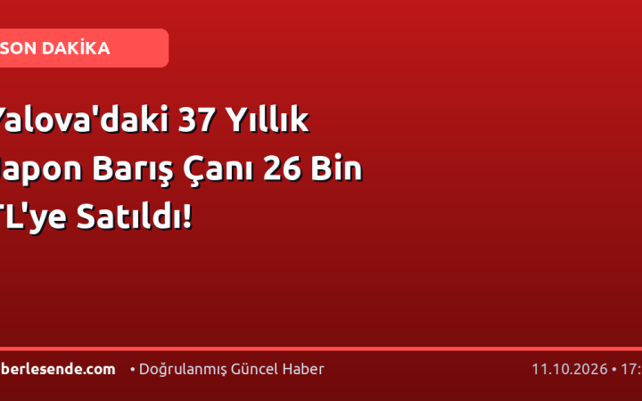 Yalova'daki 37 Yıllık Japon Barış Çanı 26 Bin TL'ye Satıldı!