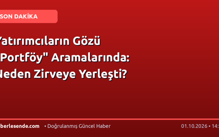 Yatırımcıların Gözü "Portföy" Aramalarında: Neden Zirveye Yerleşti?