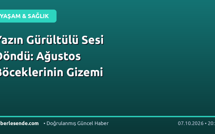 Yazın Gürültülü Sesi Döndü: Ağustos Böceklerinin Gizemi