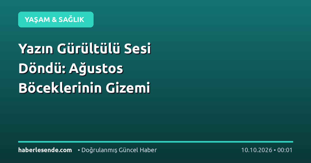 Yazın Gürültülü Sesi Döndü: Ağustos Böceklerinin Gizemi