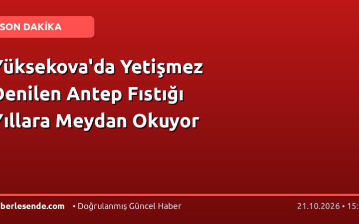 Yüksekova'da Yetişmez Denilen Antep Fıstığı Yıllara Meydan Okuyor