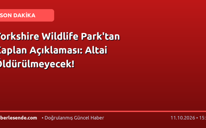 Yorkshire Wildlife Park'tan Kaplan Açıklaması: Altai Öldürülmeyecek!