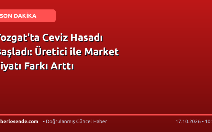 Yozgat'ta Ceviz Hasadı Başladı: Üretici ile Market Fiyatı Farkı Arttı