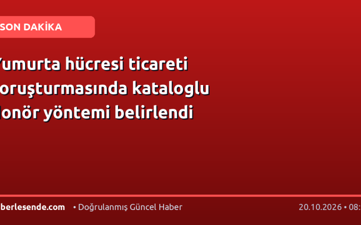 Yumurta hücresi ticareti soruşturmasında kataloglu donör yöntemi belirlendi