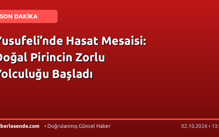 Yusufeli’nde Hasat Mesaisi: Doğal Pirincin Zorlu Yolculuğu Başladı