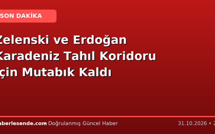 Zelenski ve Erdoğan Karadeniz Tahıl Koridoru İçin Mutabık Kaldı