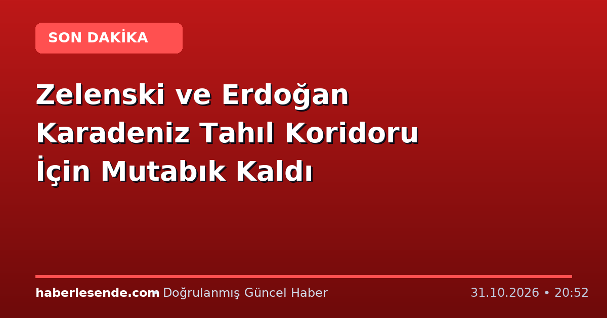 Zelenski ve Erdoğan Karadeniz Tahıl Koridoru İçin Mutabık Kaldı