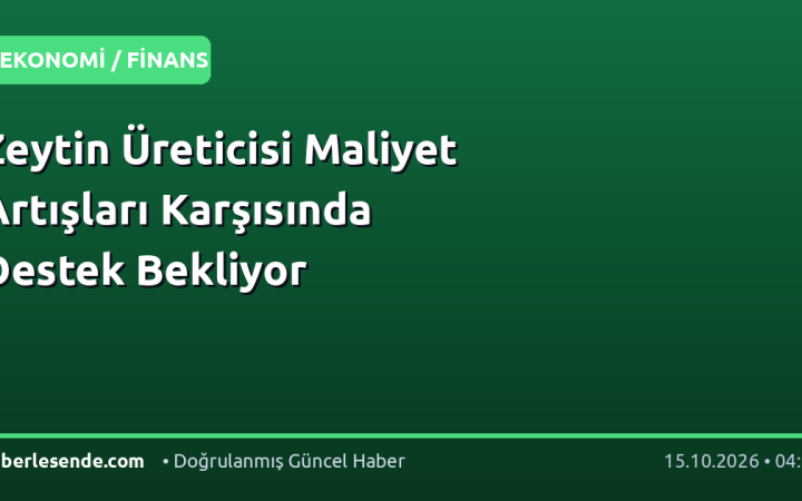 Zeytin Üreticisi Maliyet Artışları Karşısında Destek Bekliyor