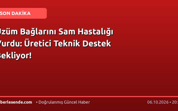 Üzüm Bağlarını Sam Hastalığı Vurdu: Üretici Teknik Destek Bekliyor!