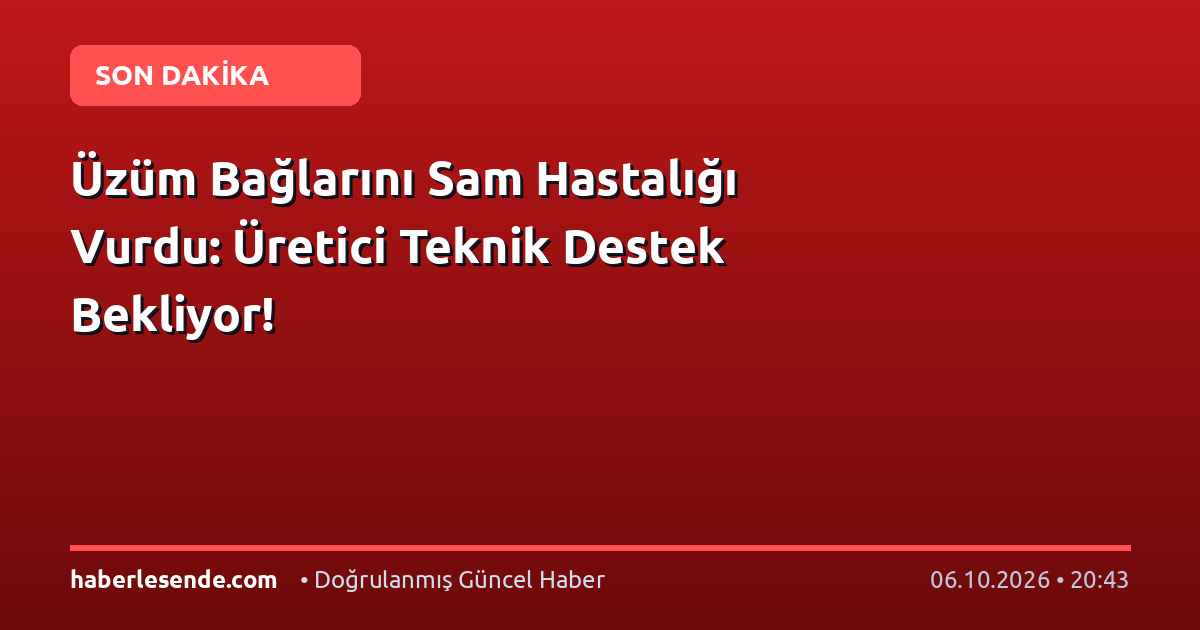 Üzüm Bağlarını Sam Hastalığı Vurdu: Üretici Teknik Destek Bekliyor!