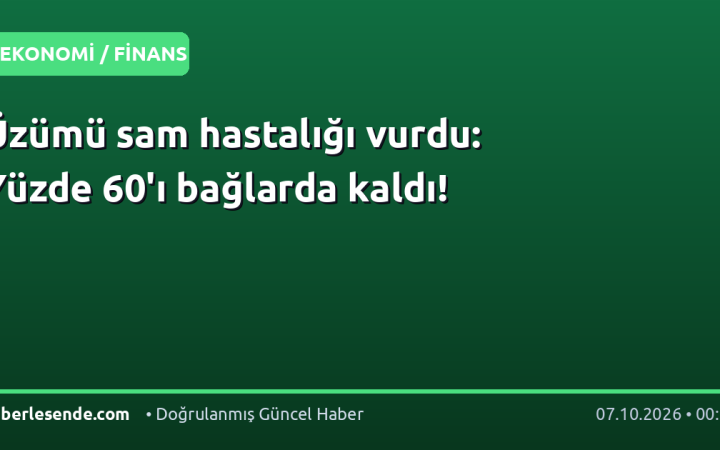Üzümü sam hastalığı vurdu: Yüzde 60'ı bağlarda kaldı!