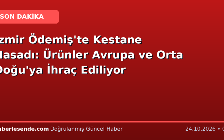 İzmir Ödemiş'te Kestane Hasadı: Ürünler Avrupa ve Orta Doğu'ya İhraç Ediliyor