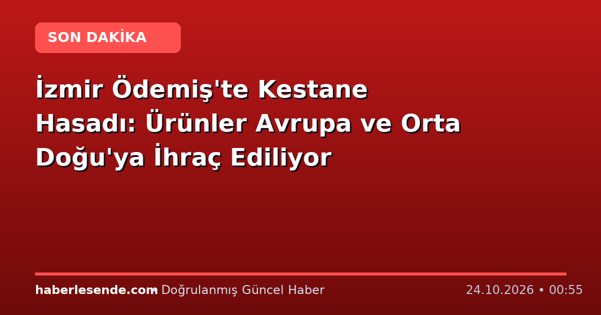 İzmir Ödemiş'te Kestane Hasadı: Ürünler Avrupa ve Orta Doğu'ya İhraç Ediliyor