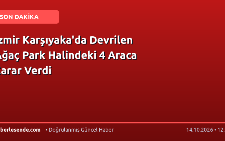 İzmir Karşıyaka'da Devrilen Ağaç Park Halindeki 4 Araca Zarar Verdi