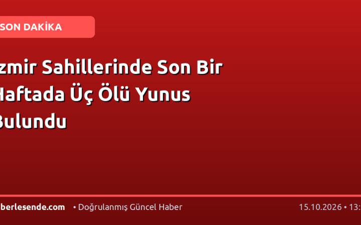 İzmir Sahillerinde Son Bir Haftada Üç Ölü Yunus Bulundu