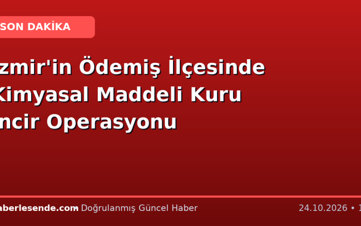 İzmir'in Ödemiş İlçesinde Kimyasal Maddeli Kuru İncir Operasyonu
