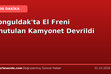 Zonguldak'ta El Freni Unutulan Kamyonet Devrildi