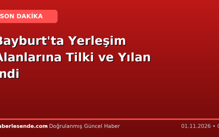 Bayburt'ta Yerleşim Alanlarına Tilki ve Yılan İndi