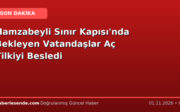 Hamzabeyli Sınır Kapısı'nda Bekleyen Vatandaşlar Aç Tilkiyi Besledi