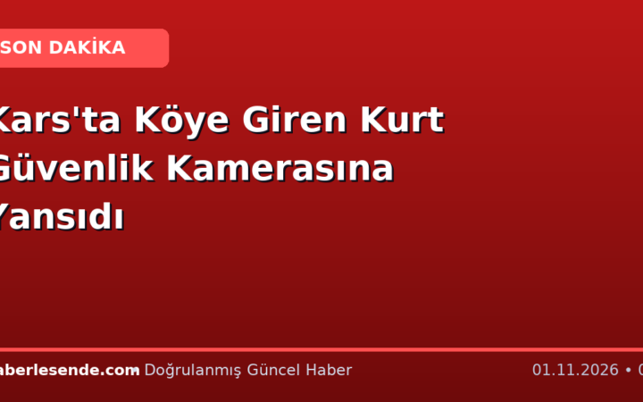 Kars'ta Köye Giren Kurt Güvenlik Kamerasına Yansıdı