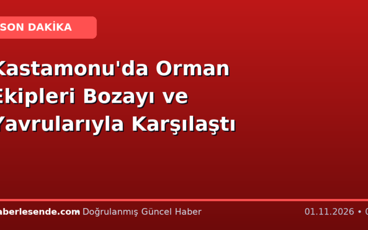Kastamonu'da Orman Ekipleri Bozayı ve Yavrularıyla Karşılaştı