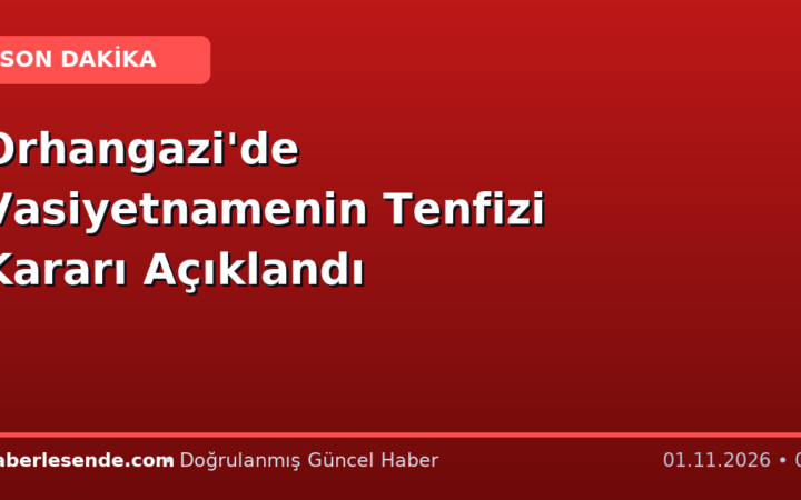 Orhangazi'de Vasiyetnamenin Tenfizi Kararı Açıklandı